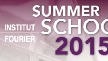 Summer School 2015 - Geometric measure theory and calculus of variations: theory and applications