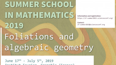 Summer School 2019 - Foliations and algebraic geometry