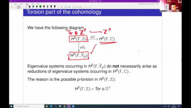 Cohomology of arithmetic groups and number theory: geometric, asymptotic and computational aspects 1