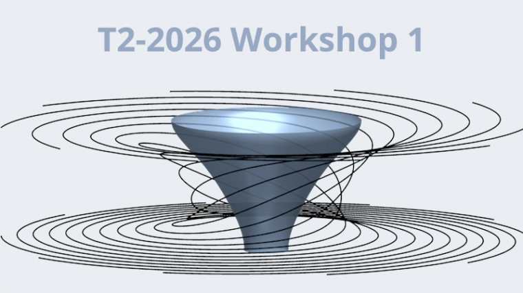 2026 - T2 - WS1 - Vortices and vorticity in geophysical flows