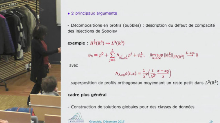 De l'analyse des EDPs non linéaires à la théorie des groupes
