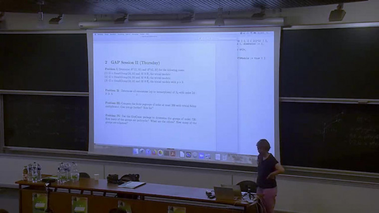 Computational group theory, cohomology of groups and topological methods 4