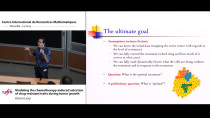 Mathematical perspectives in the biology and therapeutics of cancer / Perspectives mathématiques en biologie et thérapie du cancer
