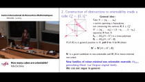 Combinatorial geometries: matroids, oriented matroids and applications / Géométries combinatoires : matroïdes, matroïdes orientés et applications