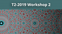 2019 - T2 - WS2 - Rational points on irrational varieties