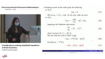 Mathematical Aspects of Physics with Non-Self-Adjoint Operators: 10 Years After / Les aspects mathématiques de la physique avec les opérateurs non-auto-adjoints: 10 ans après