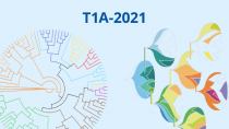 2021 - T1A - Quantitative evolution, phylogeny and ecology : from models to data and back