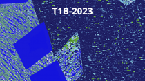 2023 - T1B - Random processes in the brain: from experimental data to math and back