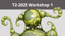 2025 - T2 - WS1 - Higher rank geometric structures, Higgs bundles and physics
