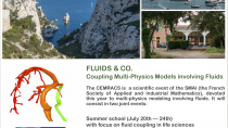CEMRACS: Coupling multi-physics models involving fluids / CEMRACS : Couplage de modèles multi-physiques impliquant les fluides