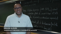 CIMPA-CIRM Fellowships « Research in Residence »
Introduction to Dissipative Dynamical Systems in Infinite Dimensions and Their Applications