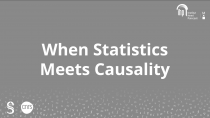When Statistics meets Causality