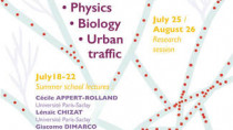 CEMRACS: Transport in Physics, Biology and Urban Traffic / CEMRACS: Transport en physique, biologie et traffic urbain