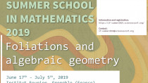 Summer School 2019 - Foliations and algebraic geometry