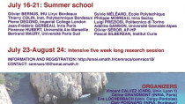 CEMRACS - Summer school: Numerical and mathematical modeling for biological and medical applications: deterministic, probabilistic and statistical descriptions / CEMRACS - École d'été : Modélisation numérique et mathématique pour la biologie et la médecine : descriptions déterministes, probabilistes et statistiques