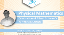 Physical Mathematics : Celebration of Albert Schwarz’s 70 Years in Science