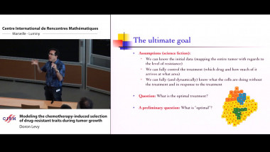 Mathematical perspectives in the biology and therapeutics of cancer​ / Perspectives mathématiques en biologie et thérapie du cancer