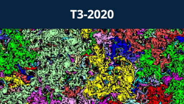 2020 - T3 - Systems out of equilibrium: interplay between statistical, quantum and disordered dynamics