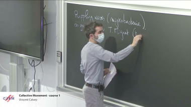 Mathematical Modeling of Organization in Living Matter / Modèles mathématiques et organisation de la matière vivante