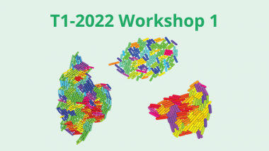 2022 - T1 - WS1 - Tissue growth and movement