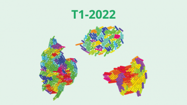 2022 - T1 - Mathematical modeling of organization in living matter