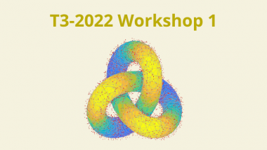2022 - T3 - WS1 - Non-linear and high dimensional inference