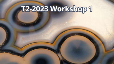 2023 - T2 - WS1 - GAP XVIII: Homotopy algebras and higher structures