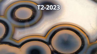 2023 - T2 - Higher structures in geometry and mathematical physics