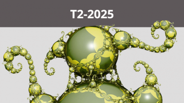 2025 - T2 - Higher rank geometric structures