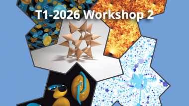 2026 - T1 - WS2 - Bridging visualization and understanding in Geometry and Topology
