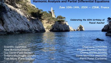 Harmonic analysis and partial differential equations / Analyse harmonique et équations aux dérivées partielles
