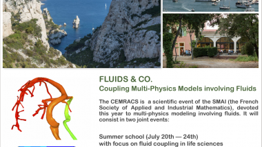 CEMRACS: Coupling multi-physics models involving fluids / CEMRACS : Couplage de modèles multi-physiques impliquant les fluides