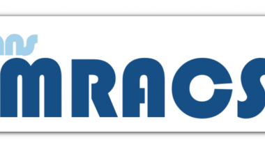 CEMRACS: Numerical challenges in parallel scientific computing / CEMRACS : Défis numériques en calcul scientifique parallèle