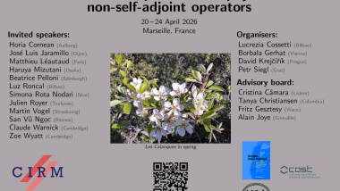 Mathematical aspects of the physics with non-self-adjoint operators / Les aspects mathématiques de la physique avec les opérateurs non-auto-adjoints