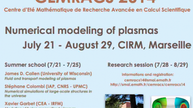 CEMRACS : Numerical modeling of plasmas / CEMRACS : Modèles numériques des plasmas