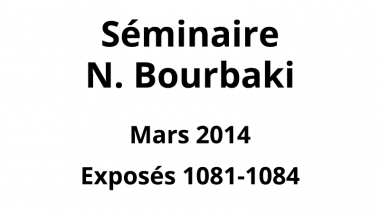 Bourbaki - Mars 2014