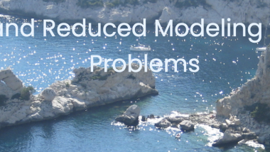CEMRACS 2021: Data Assimilation and Model Reduction in High Dimensional Problems / CEMRACS 2021: Assimilation de données et réduction de modèle pour des problêmes en grande dimension