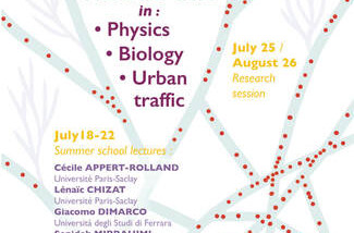 CEMRACS: Transport in Physics, Biology and Urban Traffic / CEMRACS: Transport en physique, biologie et traffic urbain