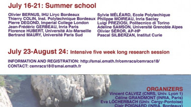 CEMRACS - Summer school: Numerical and mathematical modeling for biological and medical applications: deterministic, probabilistic and statistical descriptions / CEMRACS - École d'été : Modélisation numérique et mathématique pour la biologie et la médecine : descriptions déterministes, probabilistes et statistiques