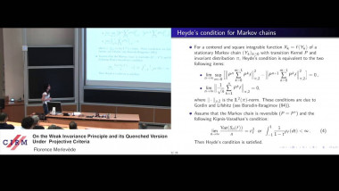 On the weak invariance principle and its quenched version under projective criteria