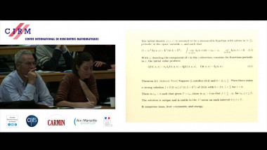 On low temperature kinetic theory; spin diffusion, anyons, Bose Einstein condensates