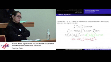 Around a Fokker-Planck equation modeling neuronal networks