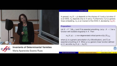 Invariants of determinantal varieties