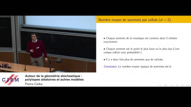 Autour de la géométrie stochastique : polytopes aléatoires et autres modèles