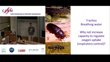 Size matters for balancing energy supply and demand in aquatic ectotherms