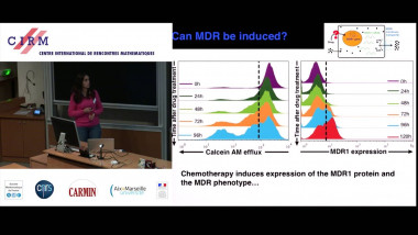 Non-genetic cancer cell plasticity