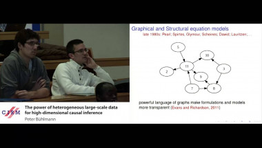 The power of heterogeneous large-scale data for high-dimensional causal inference