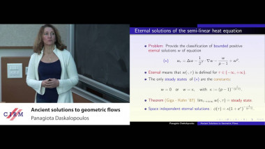 Ancient solutions of geometric flows