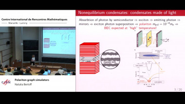 Polariton graph simulators