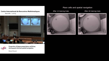 Properties of hippocampal place cell firing during goal-directed spatial navigation